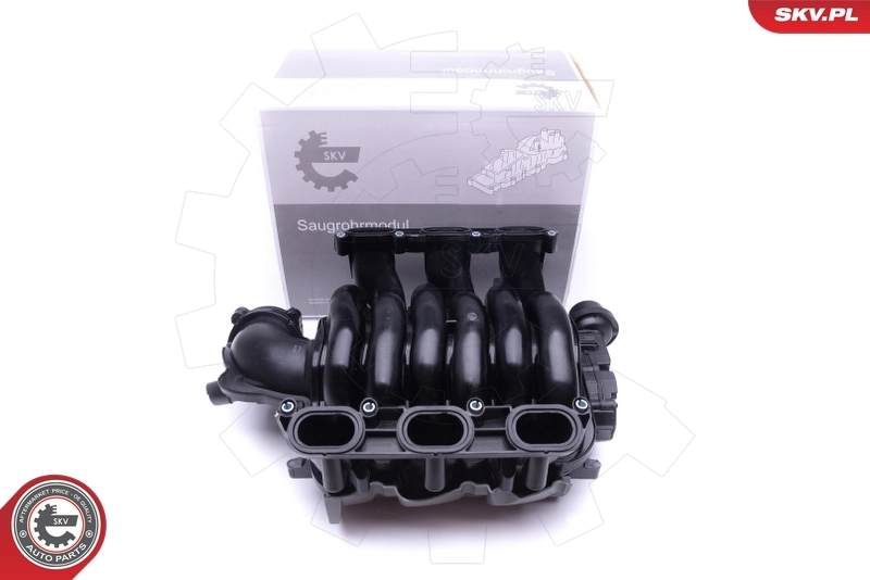 Intake Manifold Module
